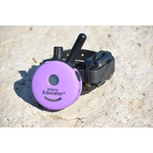E-Collar ME-300 Micro Model