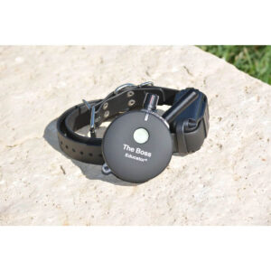 E-Collar K9-800 Boss Model